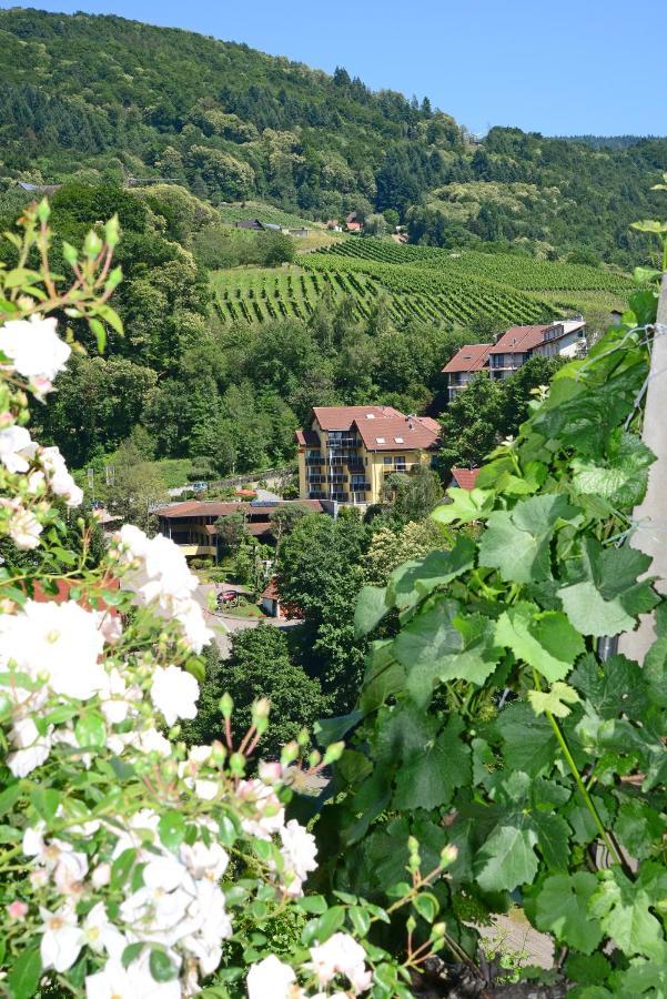 Residence Am Weinberg / Travellers Hotelbetriebs Gmbh Засбахвальден Экстерьер фото